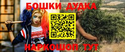 шишки Усть-Илимск