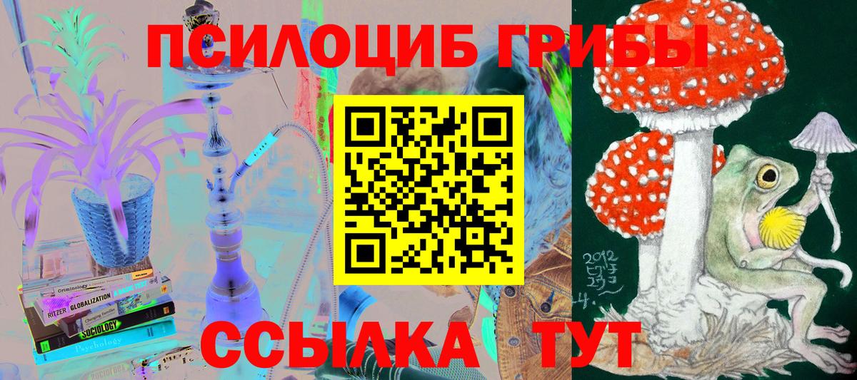 Псилоцибиновые грибы прущие грибы Михайловск