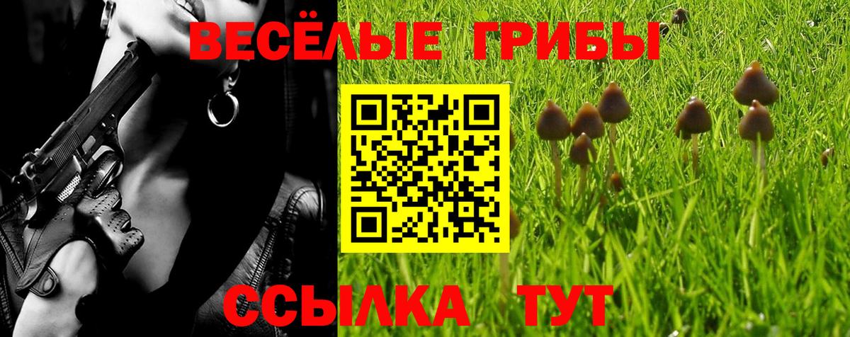 Псилоцибиновые грибы прущие грибы  Вход с VPN  закладки  Михайловск 